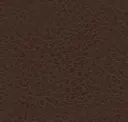 Belgian Chocolate
