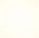 Blank Slate