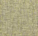 Yellow Finch