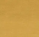Cornsilk