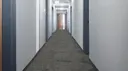 Steel