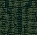 Hemlock