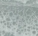 Rl102