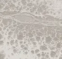 Rl103