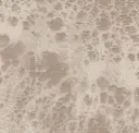 Rl104