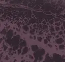 Rl106