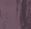 Rl206