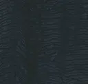 Rl300