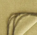 Erbse