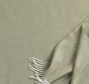 Schilf