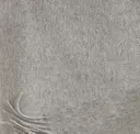 Silbergrau