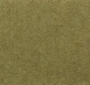 Col.79