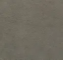 Col.41
