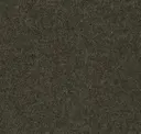 Col.24