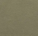 Col.81