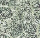 Foliage