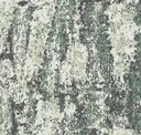 Foliage