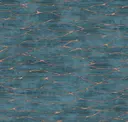 Freshwater