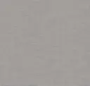 Iron