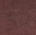 Cinnamon