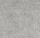 Shadow