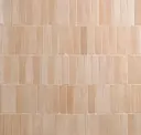 Clay