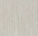 Birch Forest