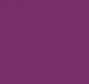 Accented Edge Plum