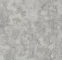 Gray Concrete