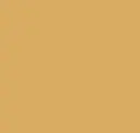 Accented Edge Honey