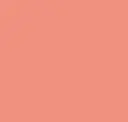 Accented Edge Papaya