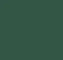Accented Edge Ivy