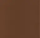 Cocoa Bean