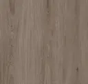 Mocha