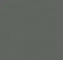 Pewter