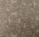 Bark