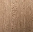 Acorn