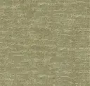 Spruce