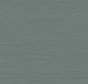 Aegean