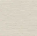 Plaster