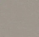 Ash Gray