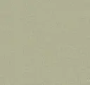 Olive Gray