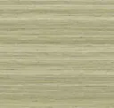 Seagrass