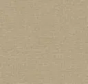 Desert