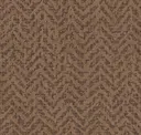 Acorn
