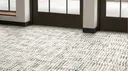 Neutral Tint