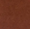 Sella