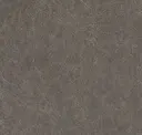 Birch