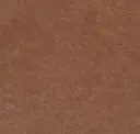 Tuscan
