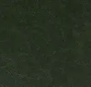 Nori